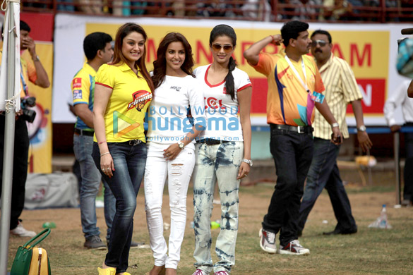 ccl 3s chennai rhinos vs bhojpuri dabanggs match 17