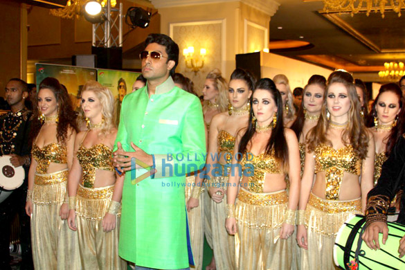 green carpet of iifa awards 2013 7
