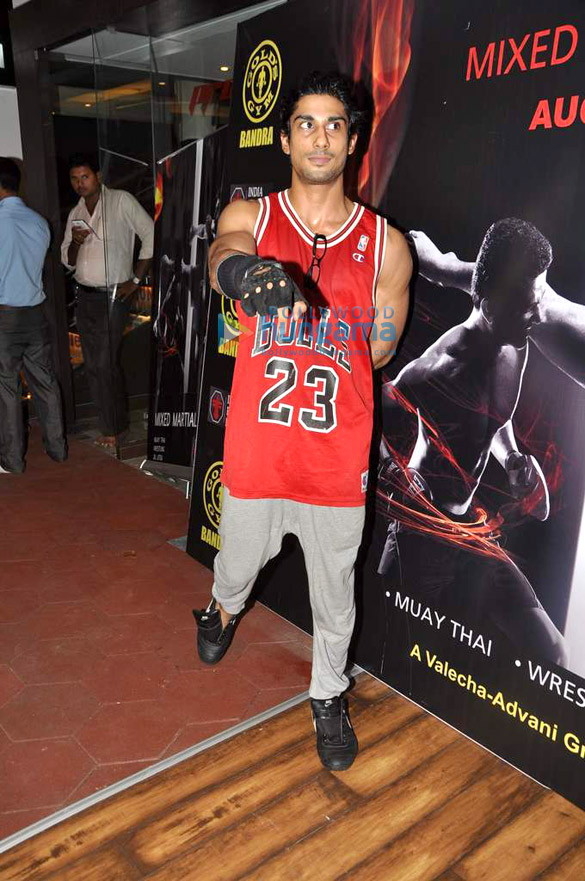 shazahn prateik babbar at gold gyms mixed martial arts 5