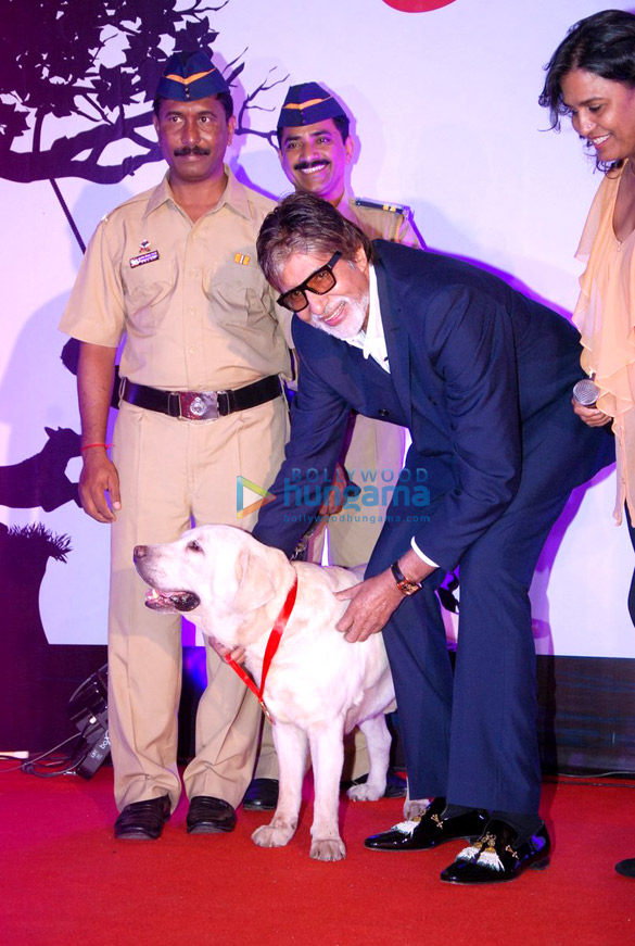 big b graces pawsitive peoples awards 3