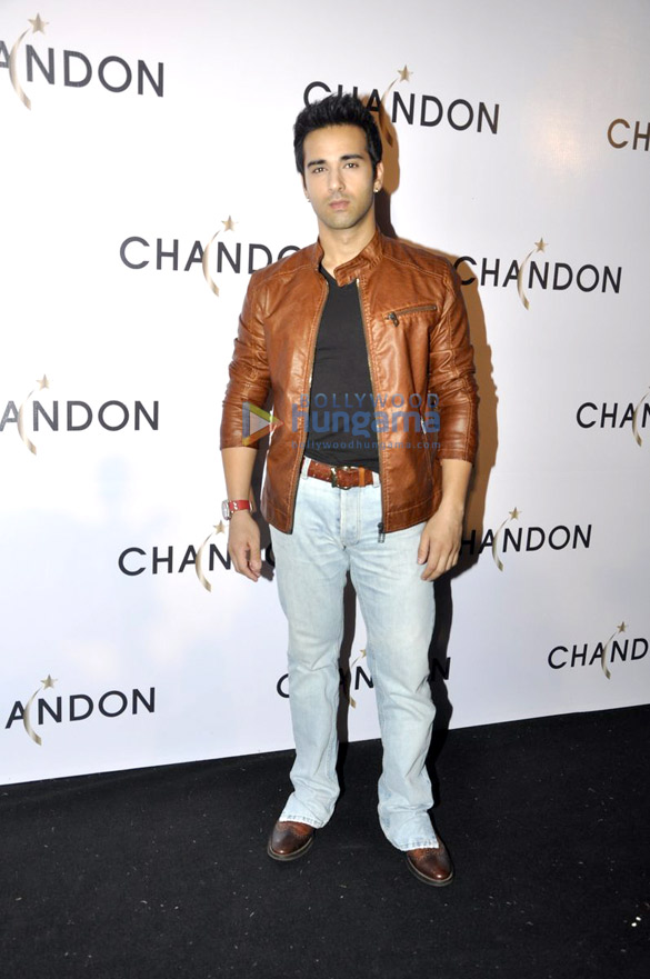 launch of sparkling wine chandon 10