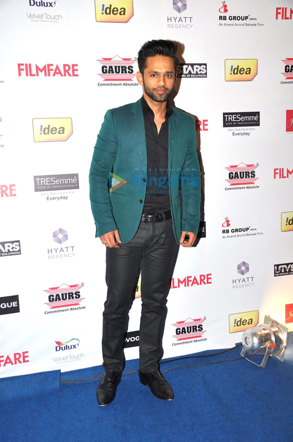 59th idea filmfare awards 2013 pre awards party 34