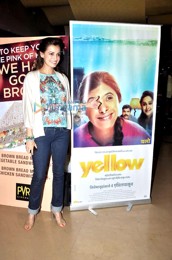 special screening of yellow 11