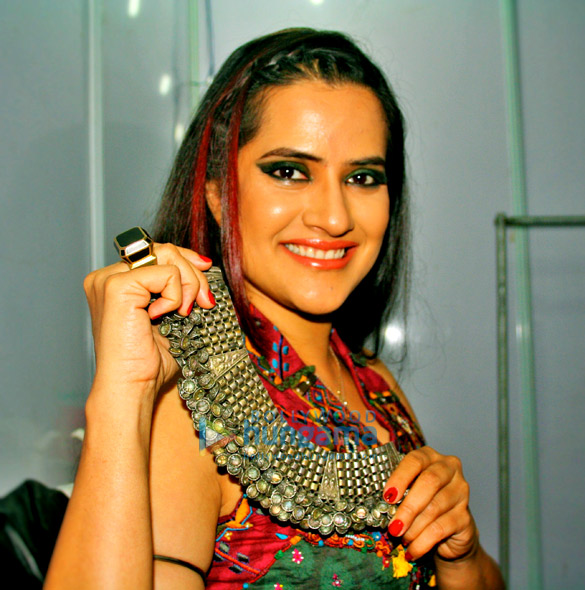 sona mohapatra performs at the goa fest 2014 7