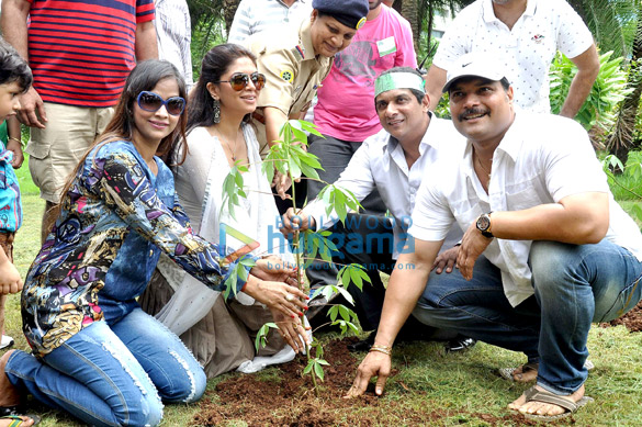 celebs grace mla aslam shaikhs tree plantation programme 3