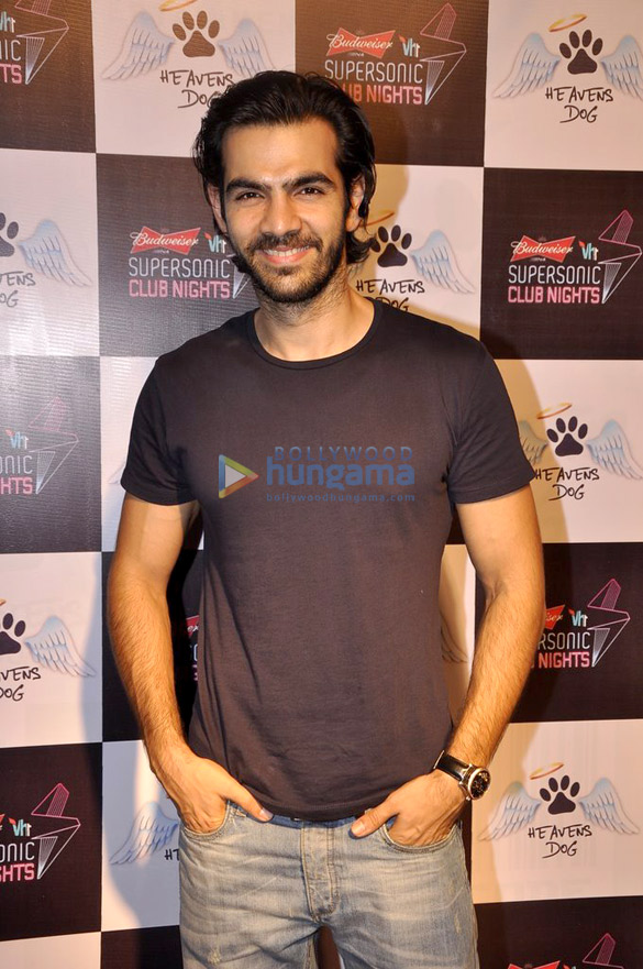celebs at grace heavens dog restaurant launch 22