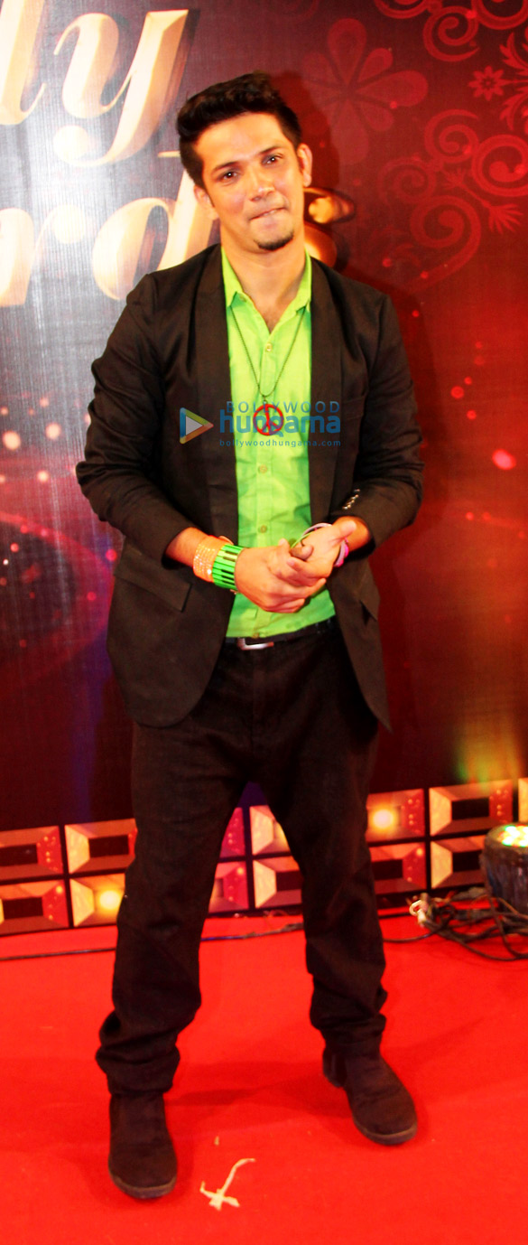 13th indian telly awards 2014 7