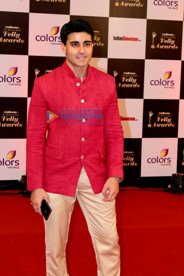 13th indian telly awards 2014 23