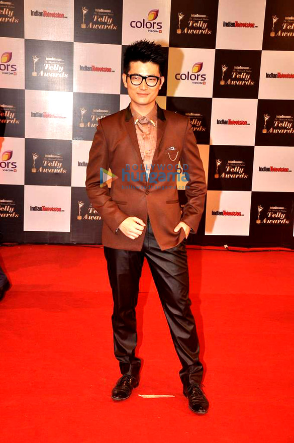 13th indian telly awards 2014 29