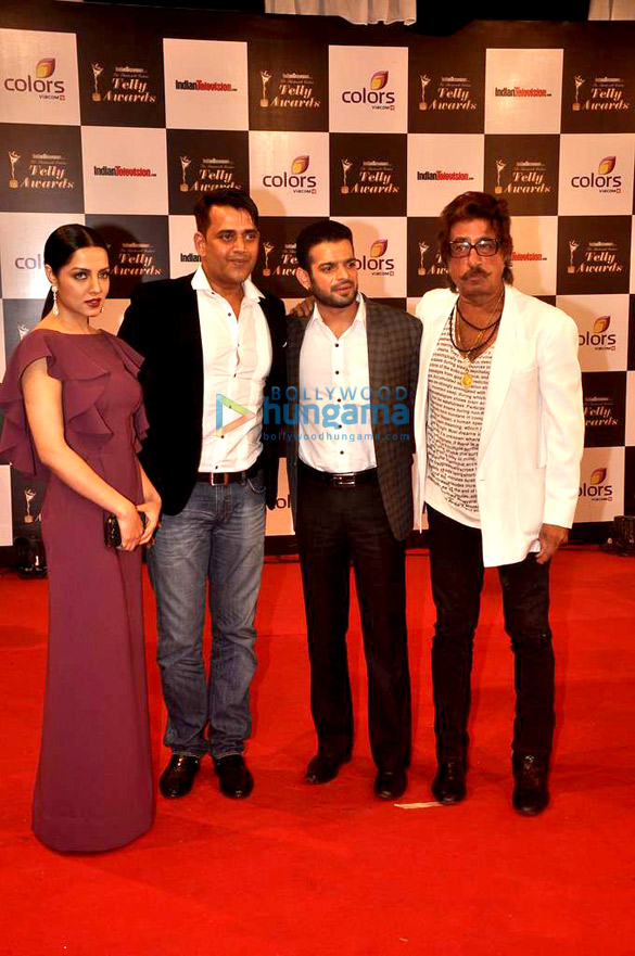 13th indian telly awards 2014 38