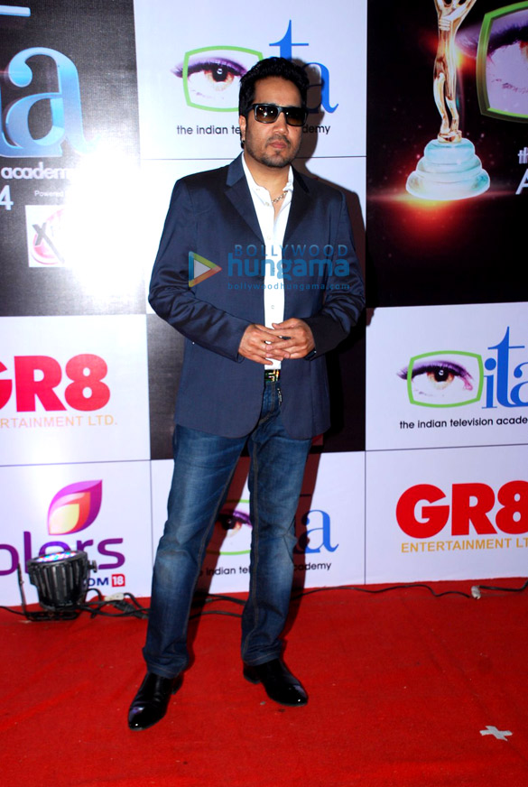celebs grace the red carpet of ita awards 2014 9