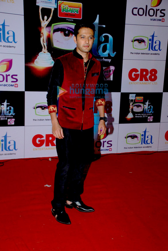 celebs grace the red carpet of ita awards 2014 31