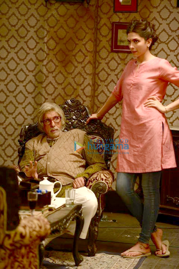 piku 13