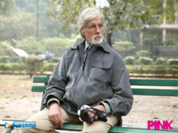 Movie Wallpapers Of The Movie Pink