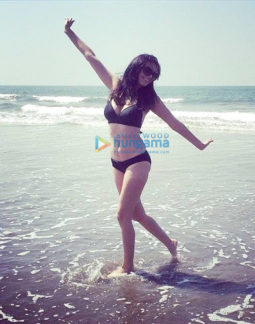 Celebrity Photo Of Evelyn Sharma