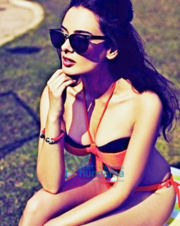 Celebrity Photo Of Evelyn Sharma