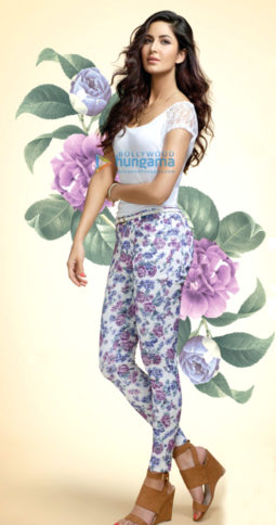 Celebrity Photo Of Katrina Kaif