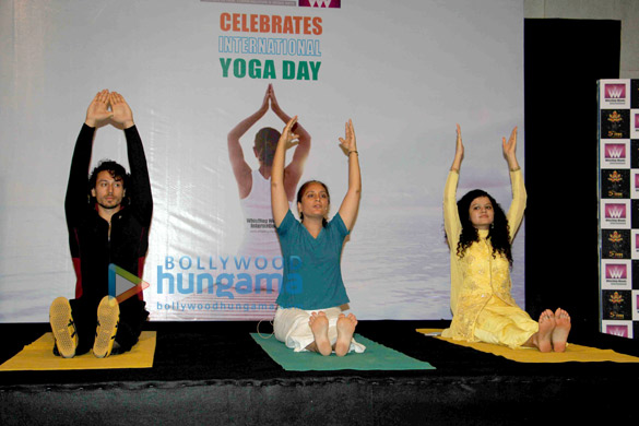 subhash tiger celebrate international yoga day 2