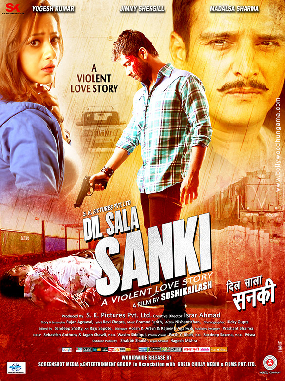 dil sala sanki 2 2