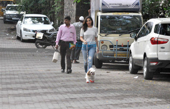 Sophie Choudry snapped taking her dog out for a walk