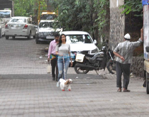sophie snapped taking her dog out for a walk 3