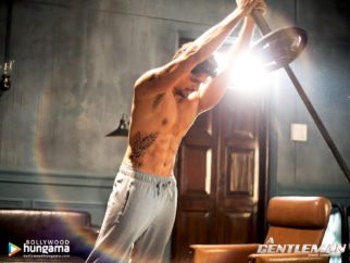 Wallpapers Of The Movie A Gentleman