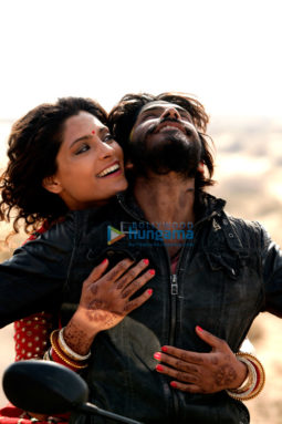Movie Stills Of The Movie Mirzya