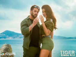 Movie Wallpapers Of The Movie Tiger Zinda Hai