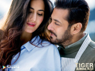 Movie Wallpapers Of The Movie Tiger Zinda Hai