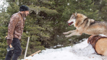 Movie Wallpapers Of The Movie Tiger Zinda Hai