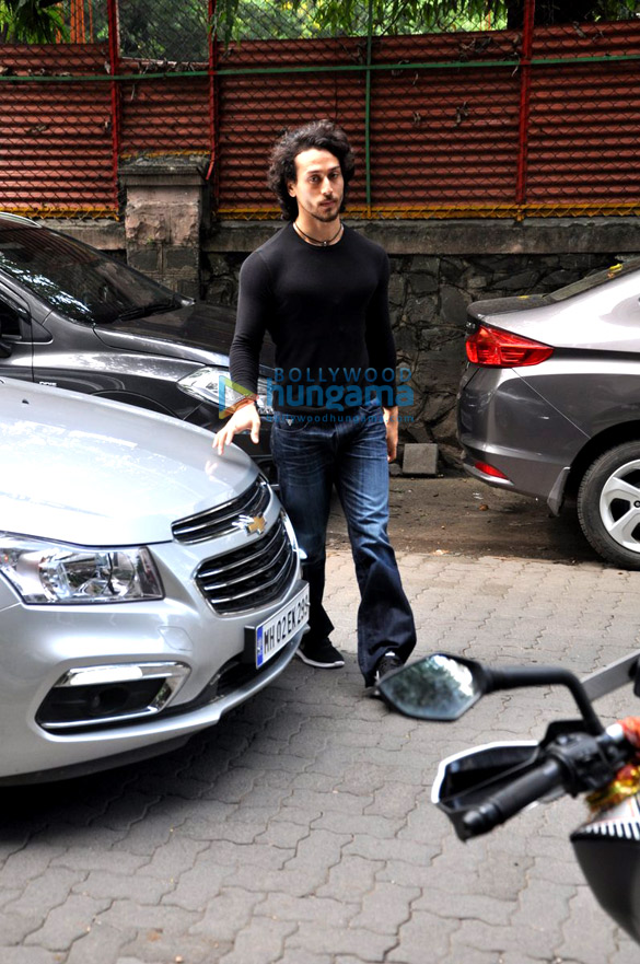 tiger snapped entering excel entertainment office 1