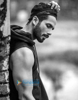 Celebrity Photo Of Shahid Kapoor