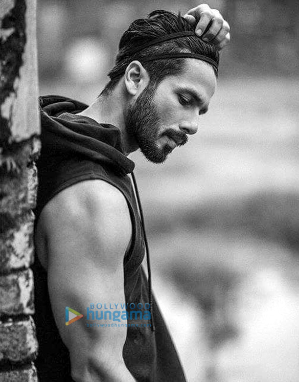 shahid kapoor 151