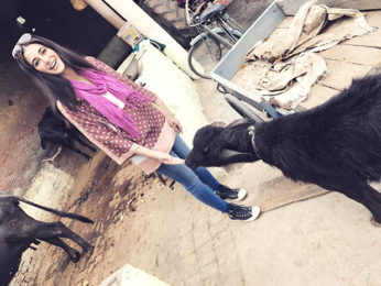 Check out: Nargis Fakhri explores Chandigarh during shoot break