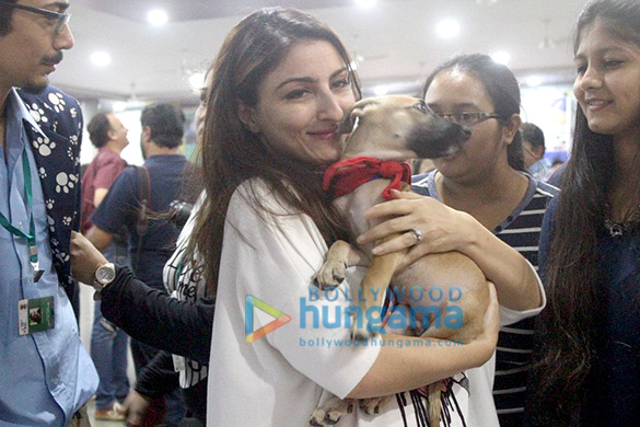 alia saif soha and kunal at adoptathon 2016 7