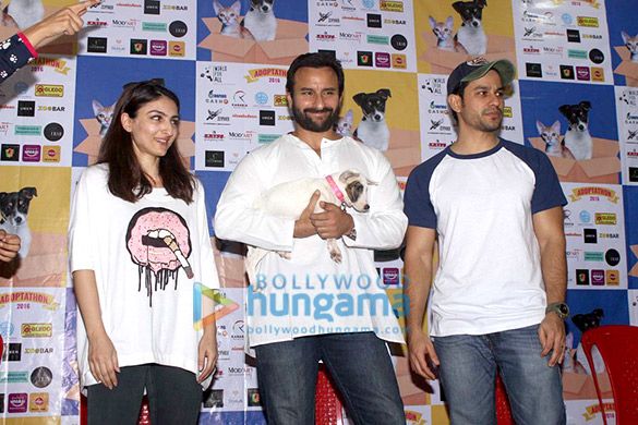 SPOTTED: Saif Ali Khan, Alia Bhatt and other celebs help animals find homes