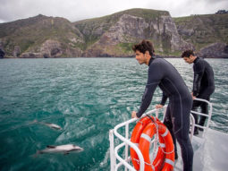 Sidharth Malhotra to mingle with dolphins