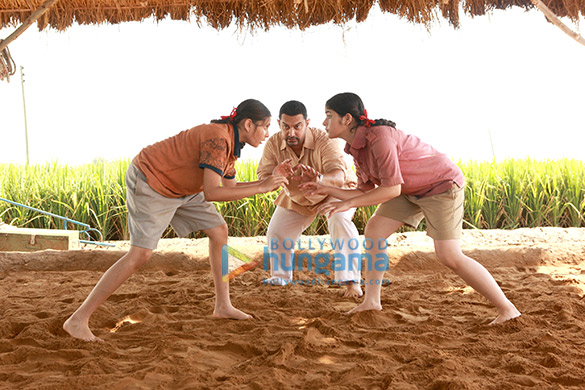 dangal 117