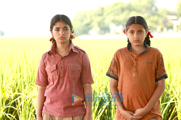 dangal 119