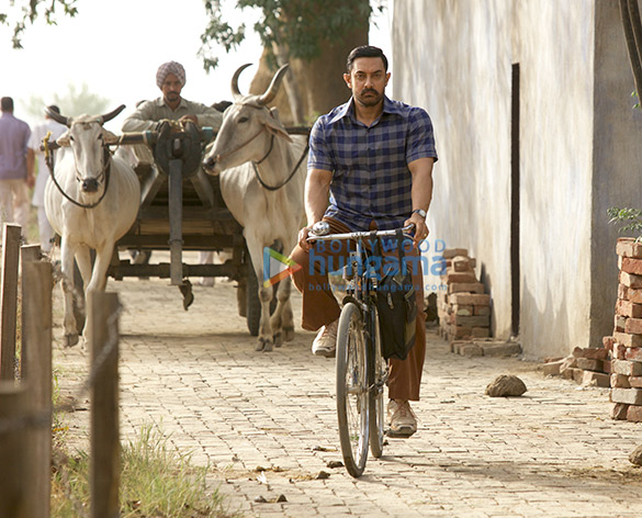 dangal 139