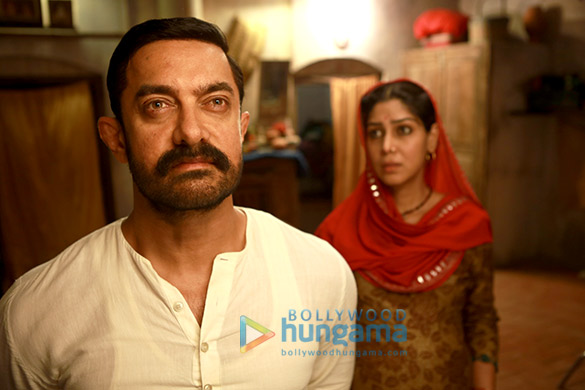 dangal 141