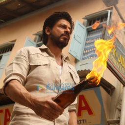 Movie Stills Of The Movie Raees