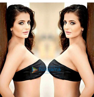 Celebrity Photos Of The Ameesha Patel