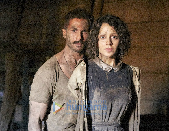 rangoon 11117