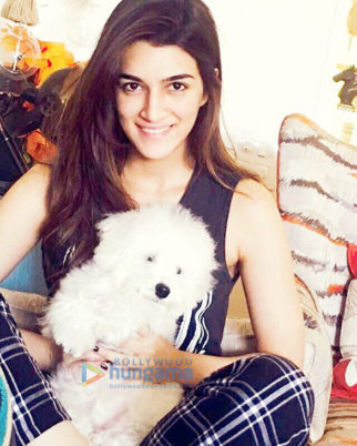 Celebrity Photos of Kriti Sanon