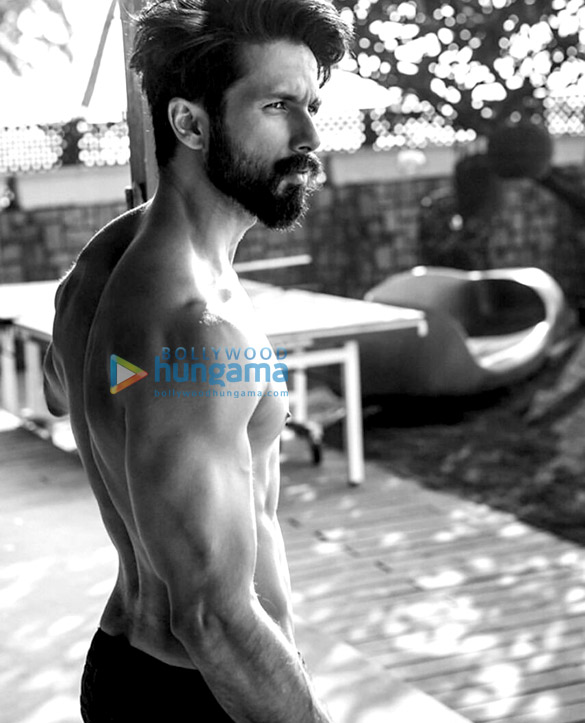 shahid kapoor 159