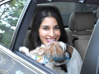 Sophie Choudry snapped shopping in Bandra
