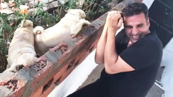Watch: Akshay Kumar boxing with a bunch of pugs will make your day