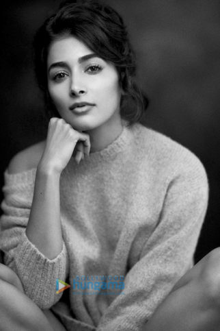 Celebrity Photo Of Pooja Hegde