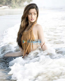 Celebrity Photos of Riya Sen
